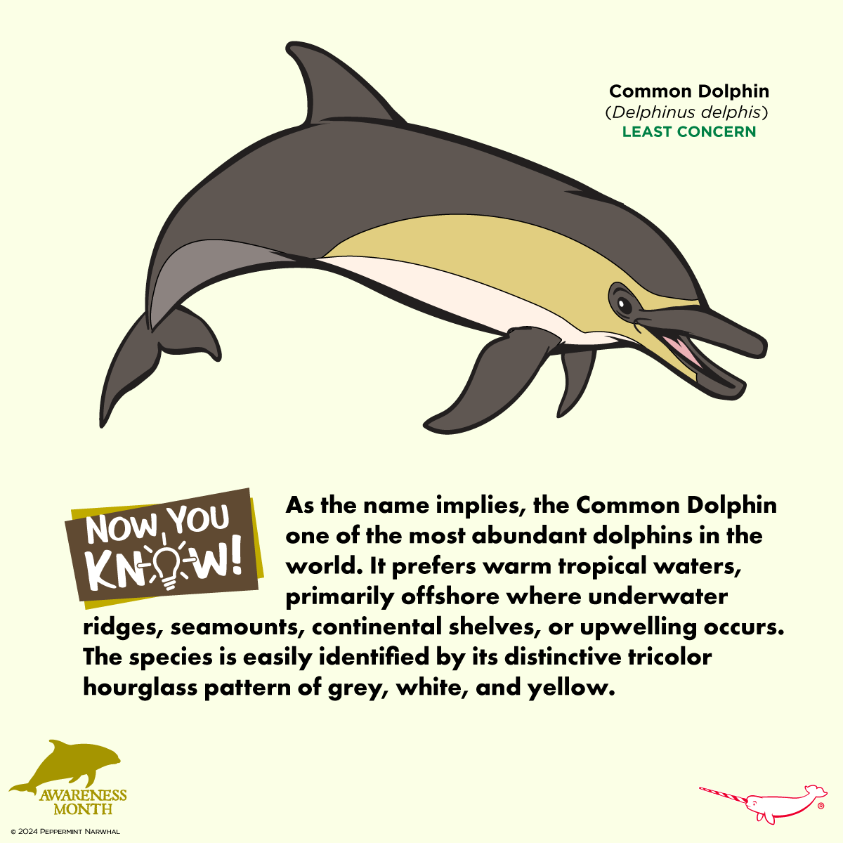 PepomintNarwhal's tweet photo. #NowYouKnow #CommonDolphin #DolphinAwarenessMonth
Shop #PeppermintNarwhal: https://t.co/bQXxNGbEjD
#Delphinus #DolphinAwareness #Dolphin https://t.co/QwoEYVAw7k