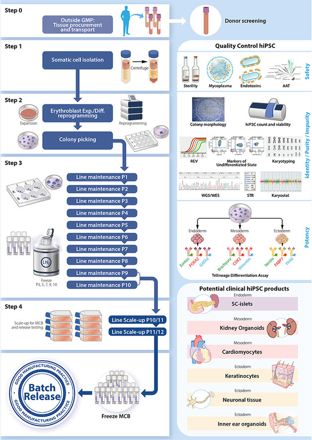 ESC & iPSC News tweet media