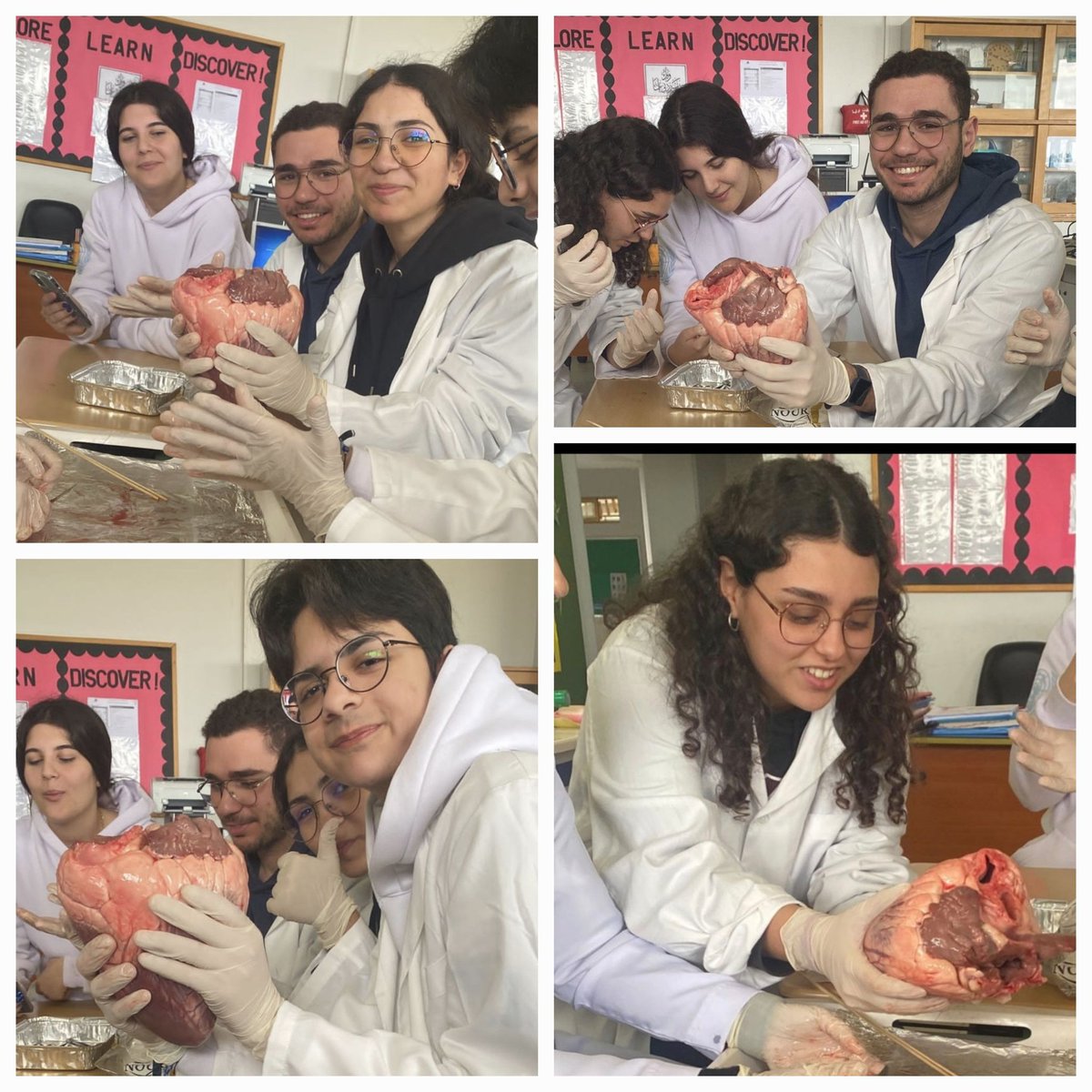 fatimazein_az's tweet image. IBDP2 learners actively exploring the anatomy of a cow&apos;s heart! Engaging in hands-on discovery to uncover the complexities of Biology! #IBDP #HandsOnLearning @Hhhsinfo @NaghamAbouAli2 @ea_rania @dina_jradi