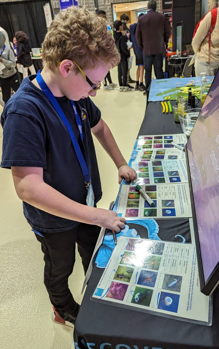 Temptexcellence tweet media