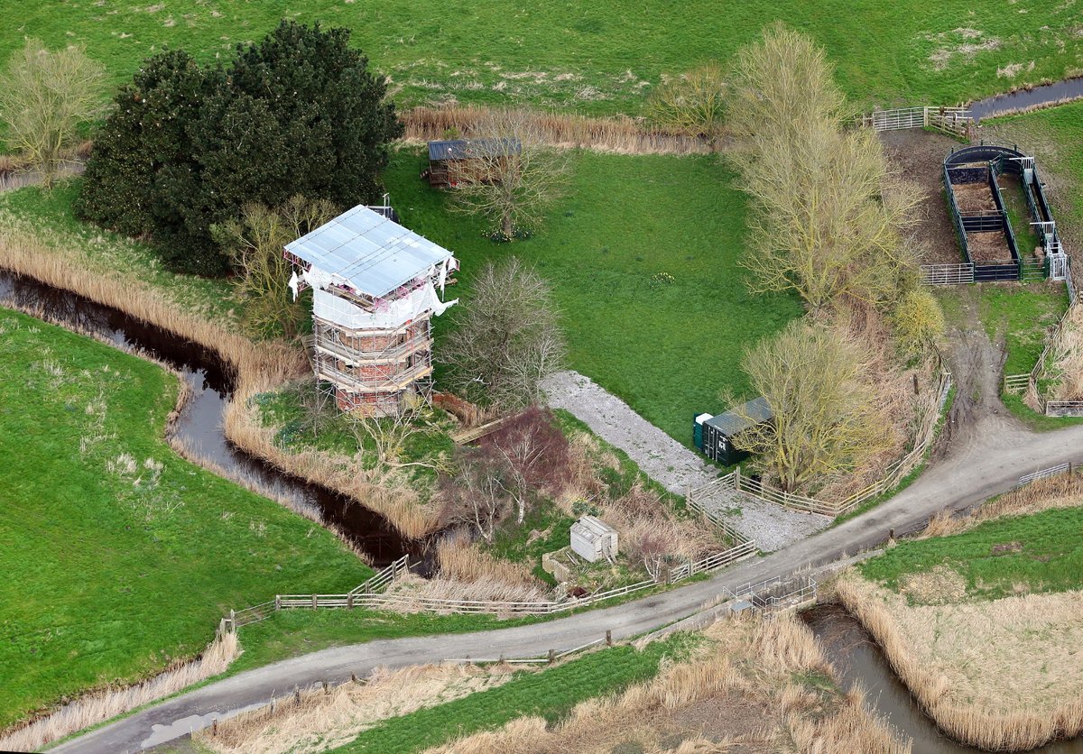 Toft Monks Mill is in there somewhere! A recent photograph by Mike Page.