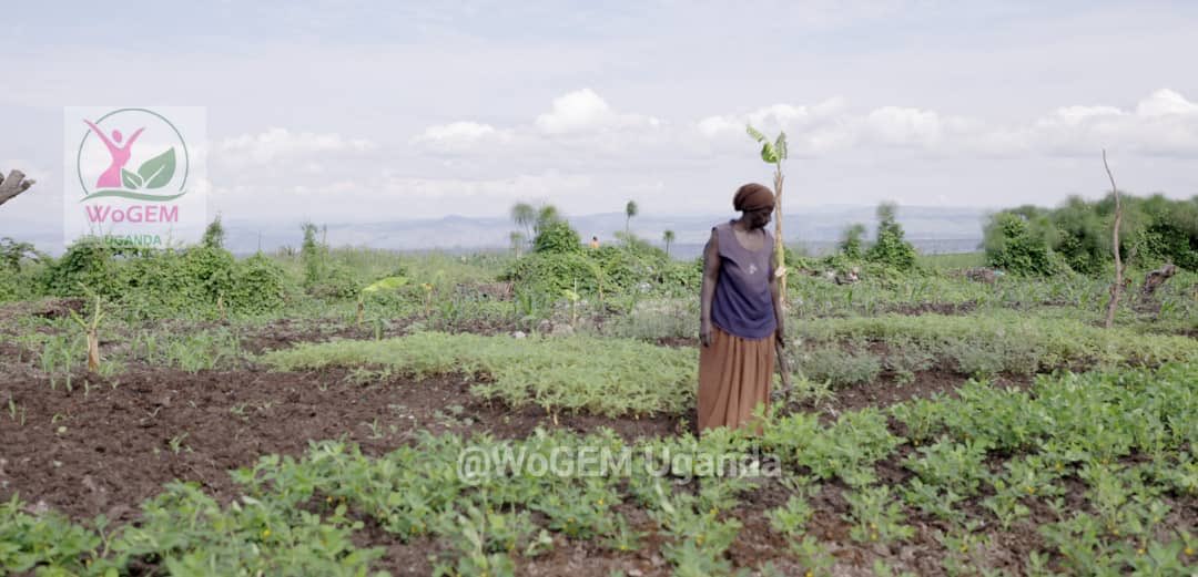 WogemU's tweet photo. As the world continues to boil due to #TempratureRaise , #marginalisedwomen and children are more disproportionately impacted by #ClimateChangeimpacts . Too much heat leading to #scarcityofCleanWater and #Foodinsecurity.
#ClimateActionNow
@LossandDamage https://t.co/LD8SvM8ZPk