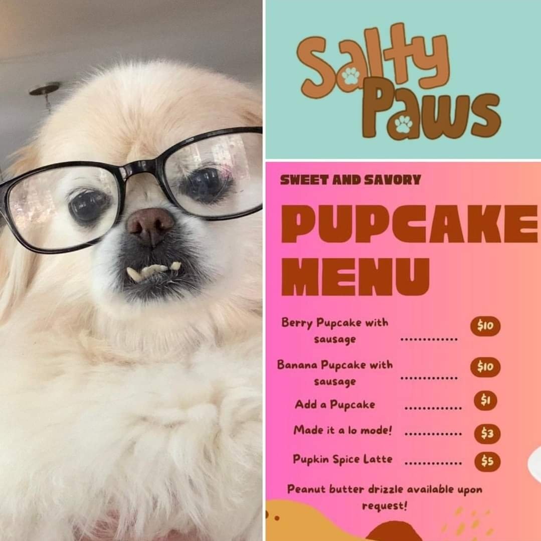 Salty Paws Pittsburgh tweet media