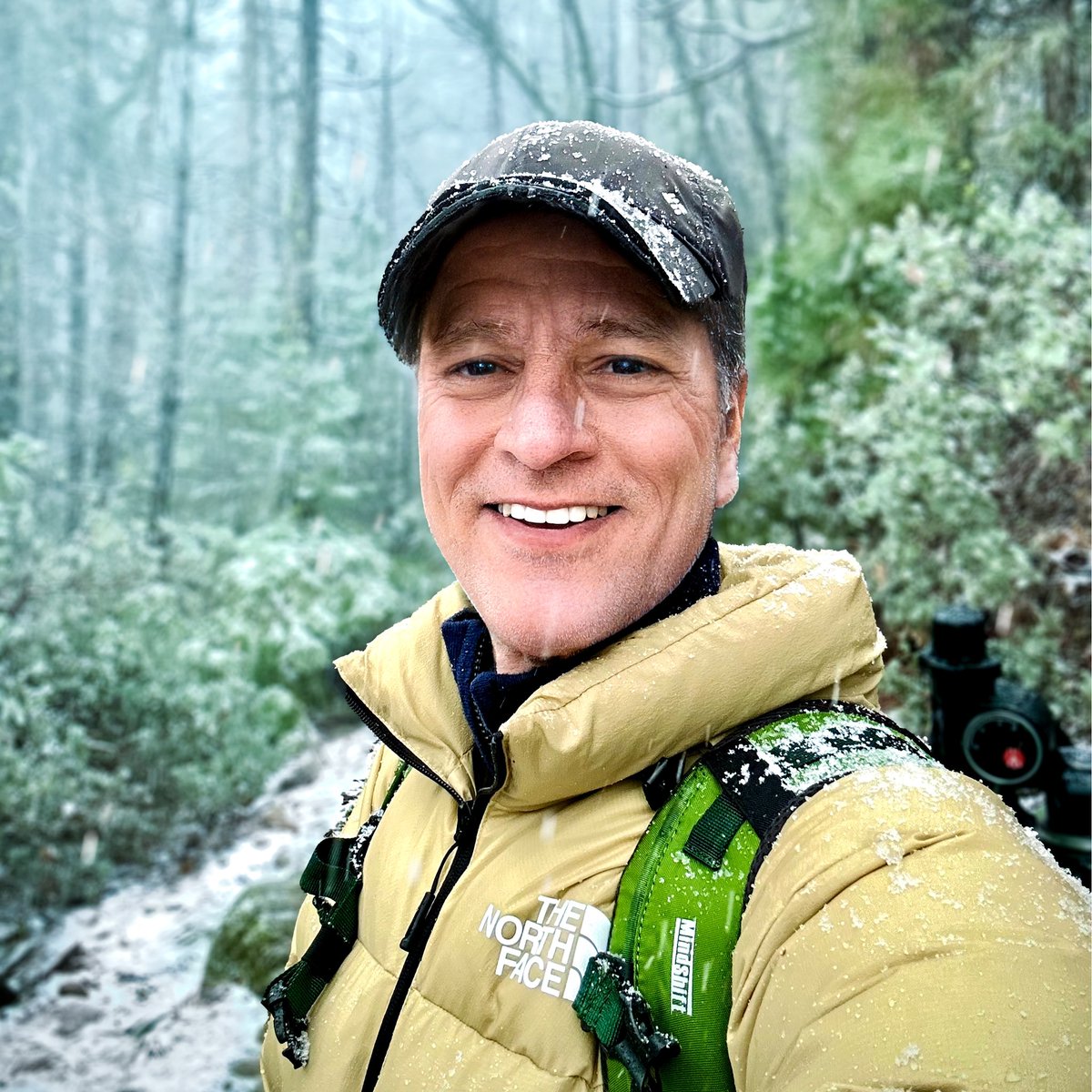 Lee Amber - Photography ☕️📸 tweet media