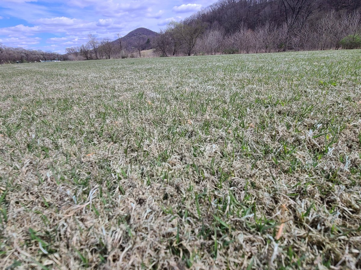 Not to bad for the 3rd week of March in SWVA! #Latitude