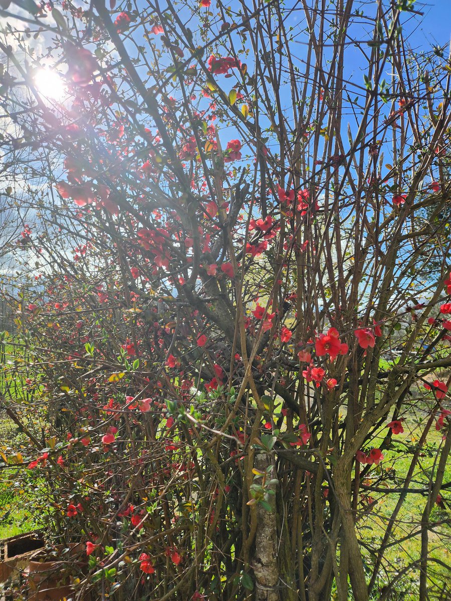 Math’ 🌺 tweet media