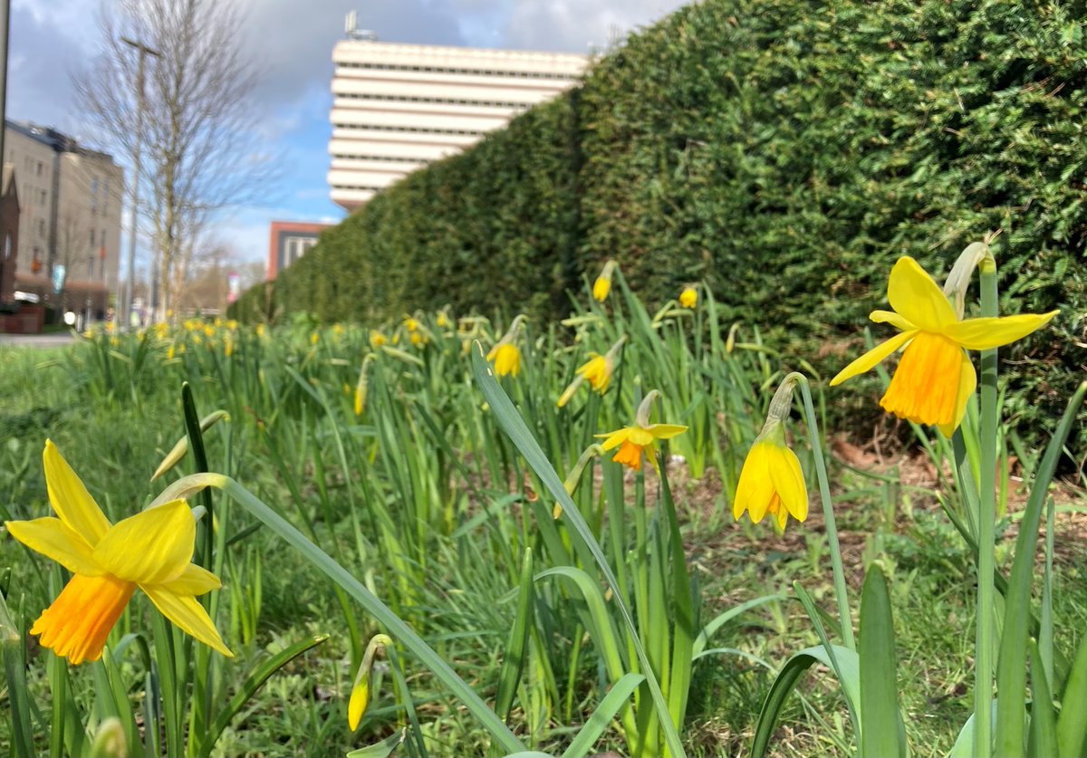 Join us today @UniOfHull for our Tuesday SoTL Social 12pm in the Arts Café- a friendly chat on anything learning & teaching 🫖 tinyurl.com/59tn6t78 Please RT + bring a friend! @HullUniEvents @FacHealthHull @HullUniScience @lawhulluni @PoliticsatHull @hubsonline @pgrhub