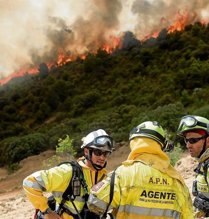 Asociación🇪🇦Agentes Medioambientales tweet media