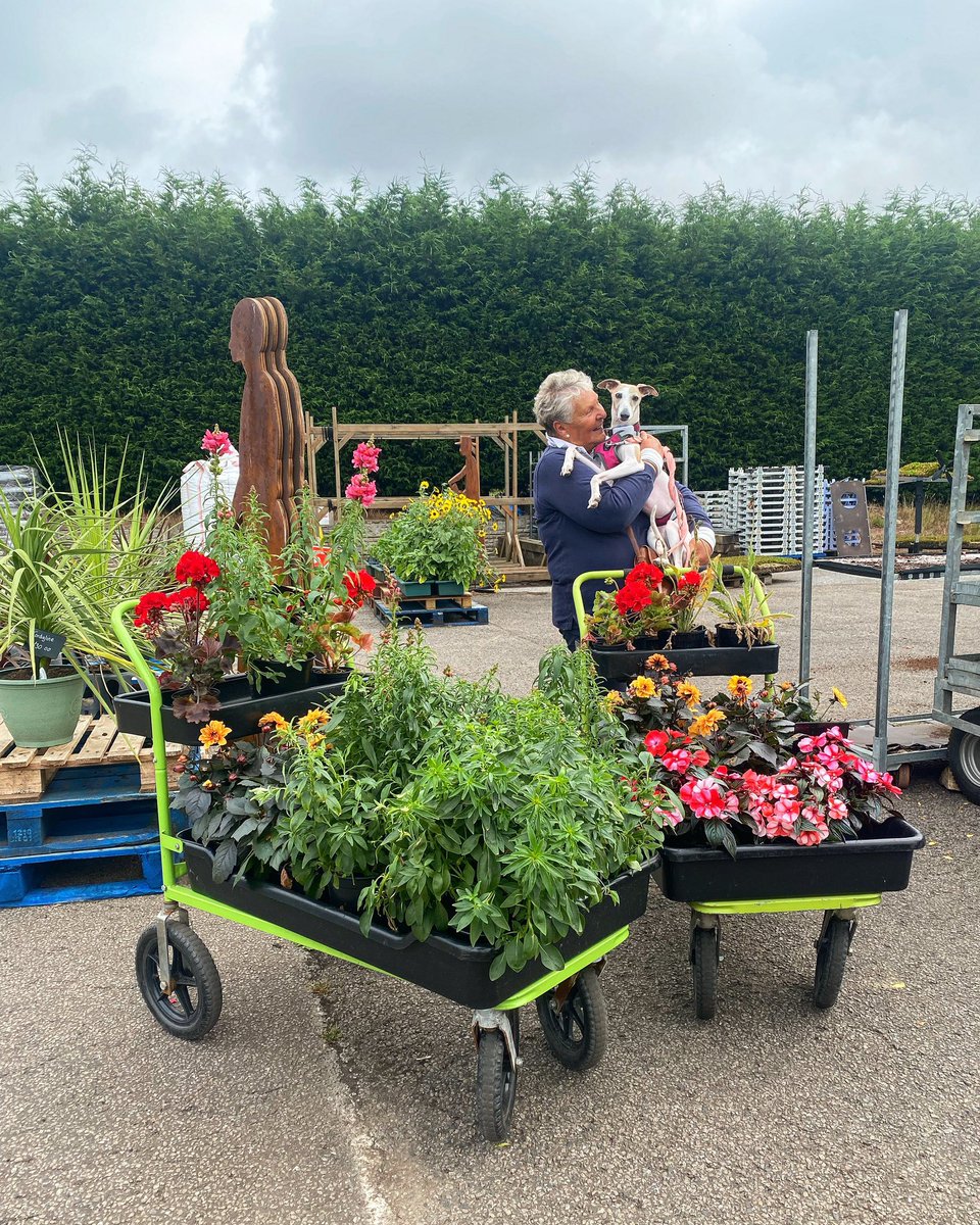 Coffin Works tweet media