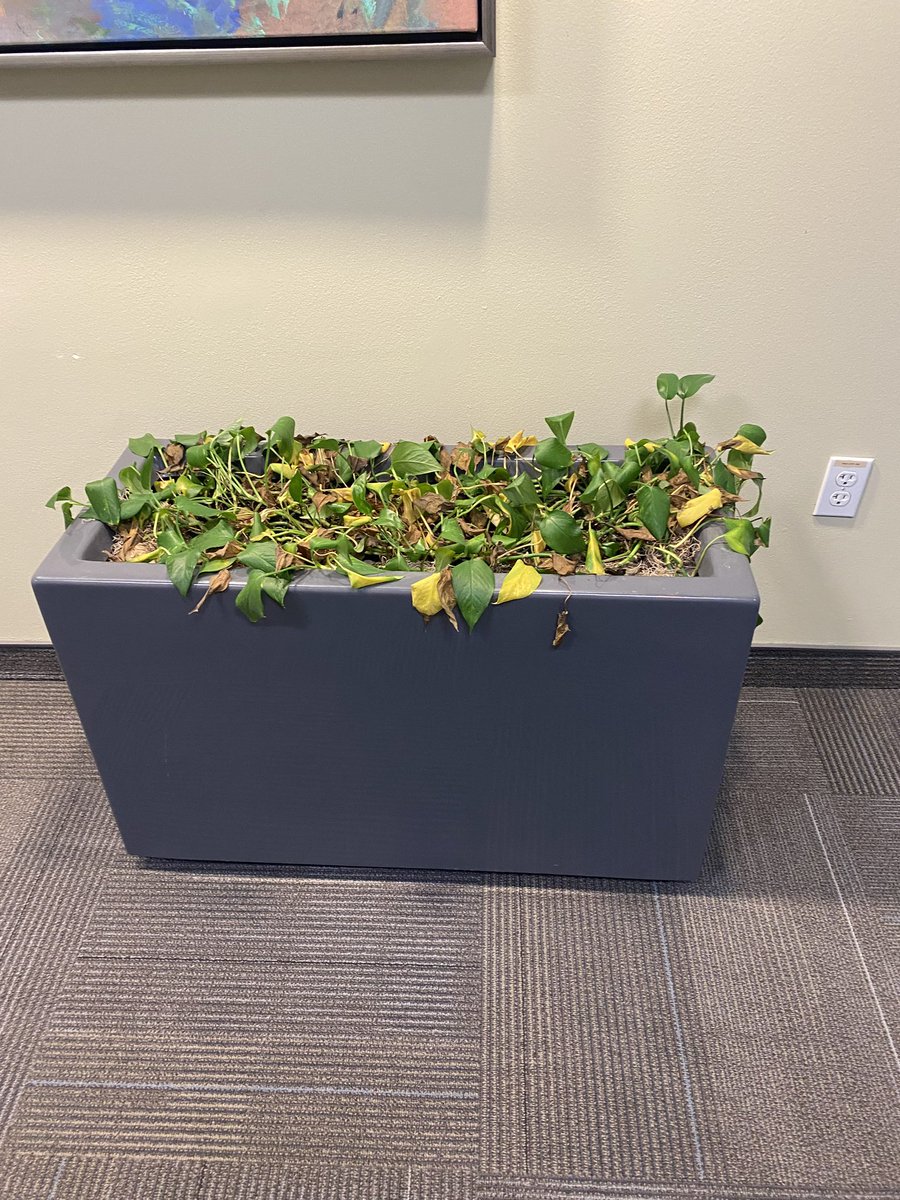 plantwerks's tweet photo. Hoping this hasn’t happened to any of you. While training a new technician, the property decided to move some rectangles without notifying us. Unfortunately they were not in sight and they got over looked. The plus side is we got to have an educational moment with both parties! https://t.co/hwkq7vzEqd