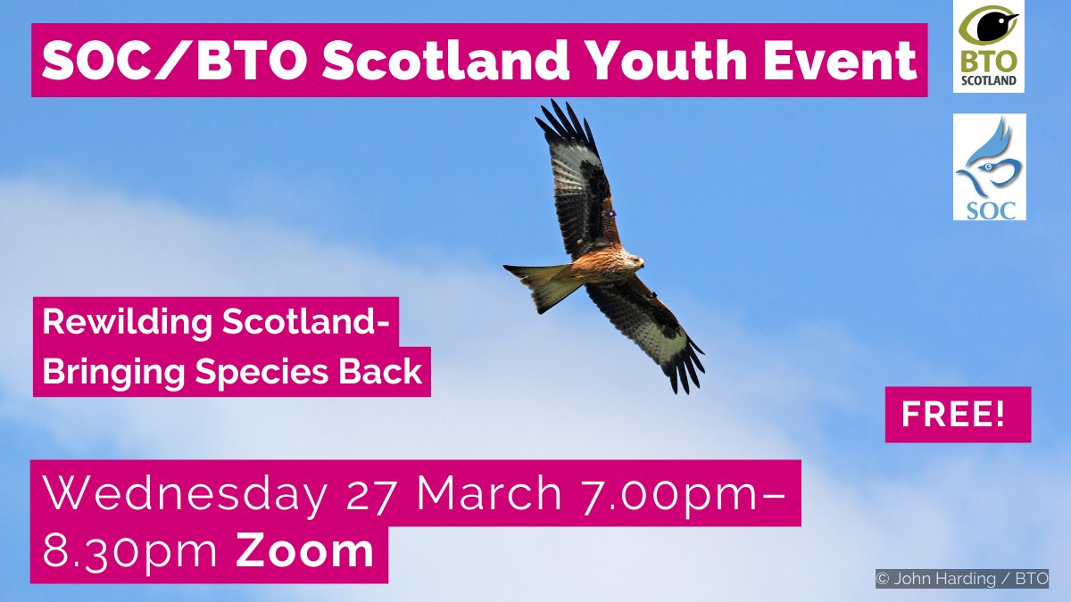 Our next FREE online youth event for under 30s is on Wednesday 27 March at 7pm. Join us and our friends @BTO_Scotland for an evening discussing species reintroductions and habitat restoration projects across Scotland! Book at eventbrite.co.uk/e/858165956477…
