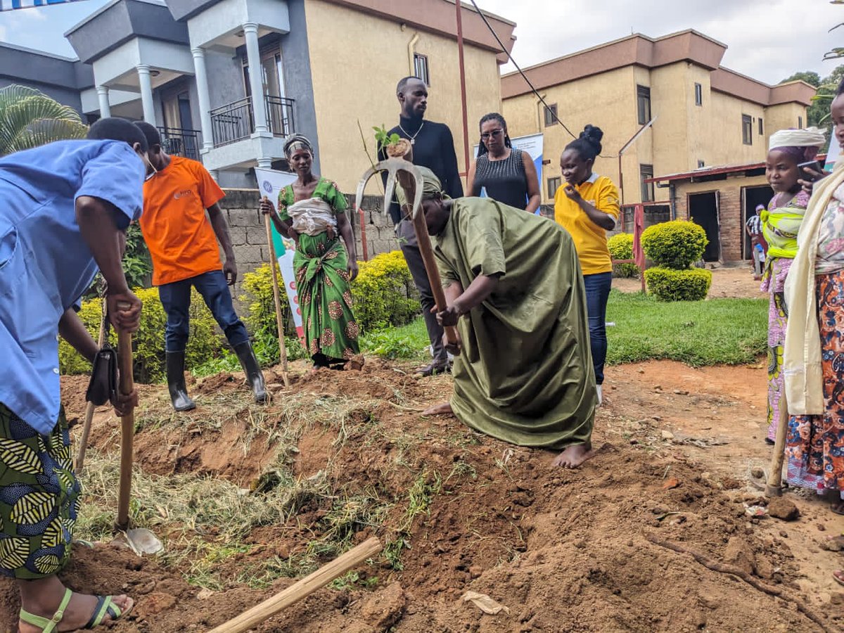 Today #Nutritionmonth2024 activities continued to @SectorKinyinya in @Gasabo_District.  Together with parents that have #malnourished children, we planted #fruitstrees and building #KitchenGardens in #Kagugu Health center that will be used as teaching demonstration @Rwanda_Child