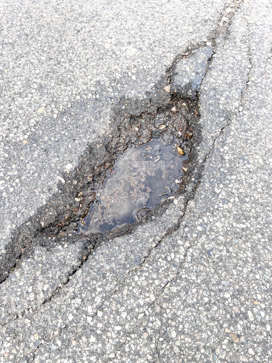 Oostkrant tweet media