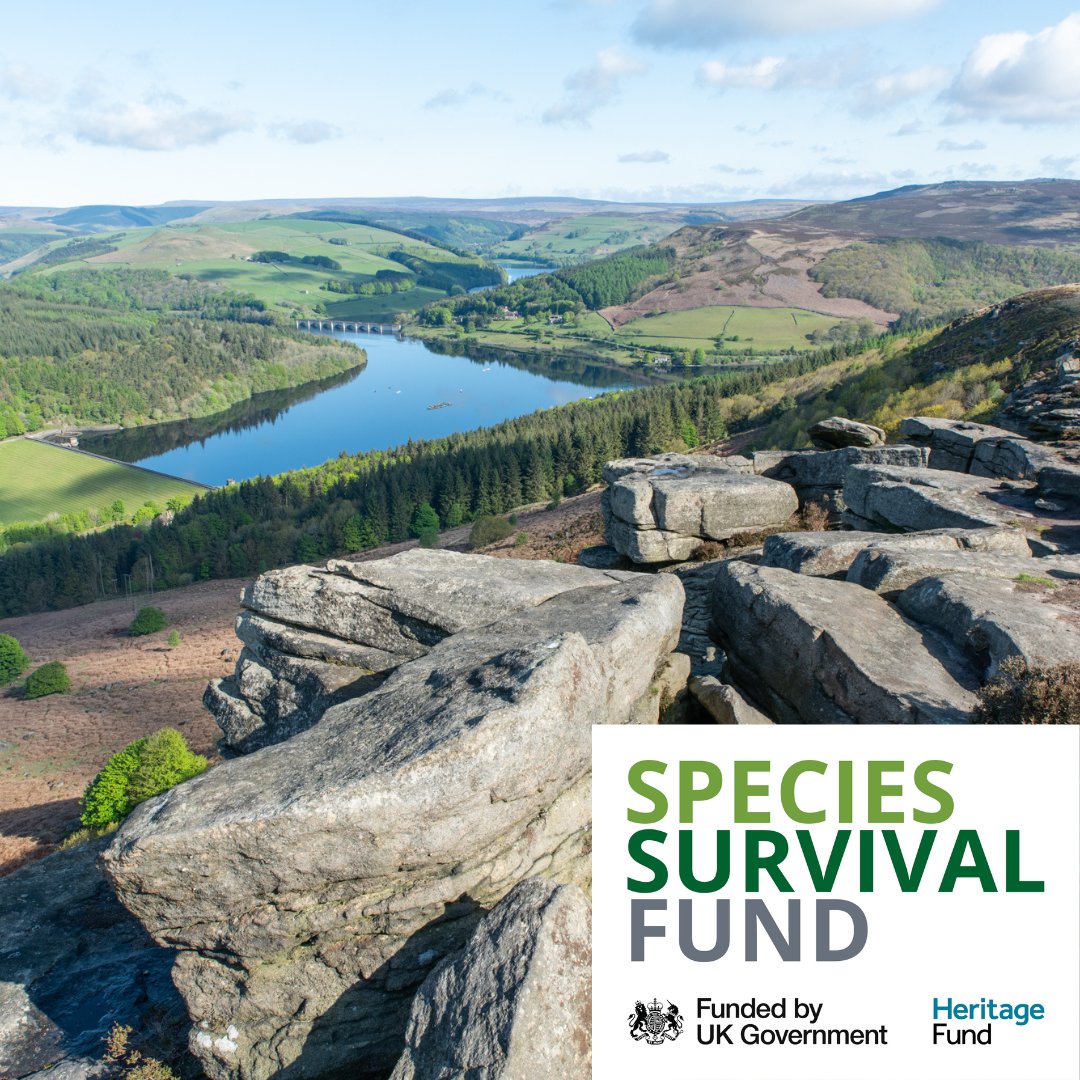 We have exciting news!

Our Wild Peak Partnership has been awarded £1.7 million to create new habitats in the Peak District 🌱 (1/2)

#SpeciesSurvivalFund #TogetherForOurPlanet