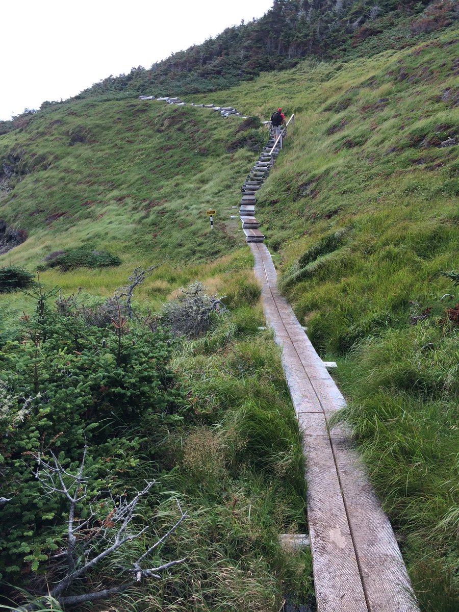 The Skerwink Trail, one of the many scenic trails to hike in Newfoundland and Labrador.  #adventure #WILD40YEARS.