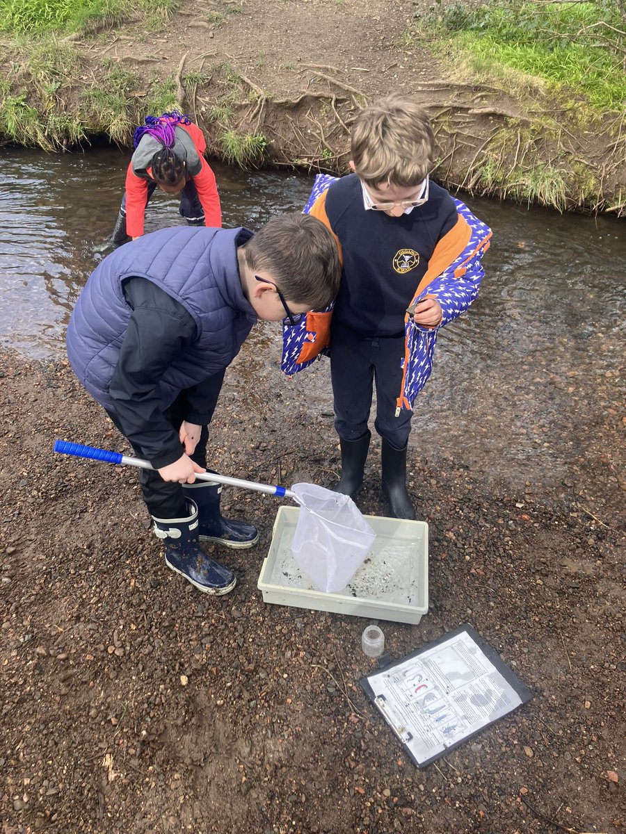 Oxgangs PS Edinburgh tweet media