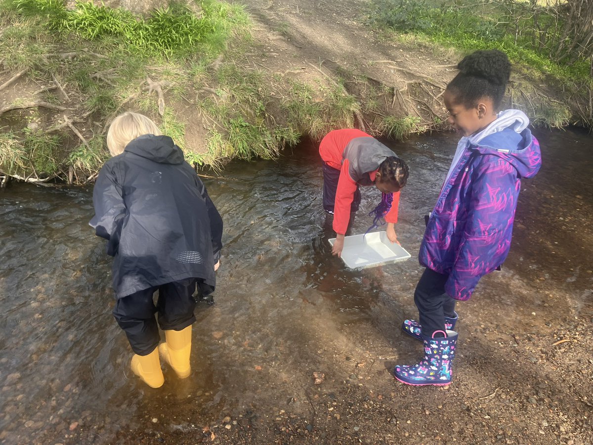 Oxgangs PS Edinburgh tweet media