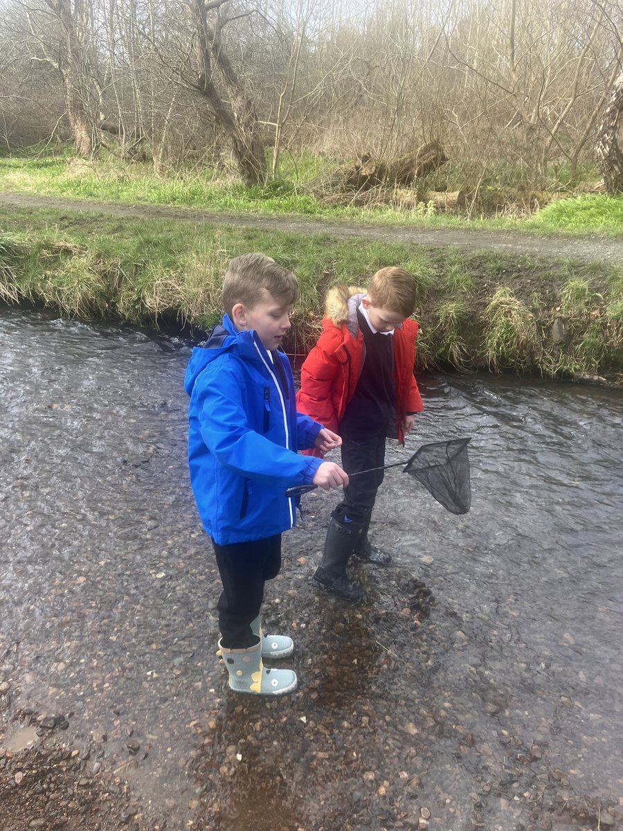 Oxgangs PS Edinburgh tweet media