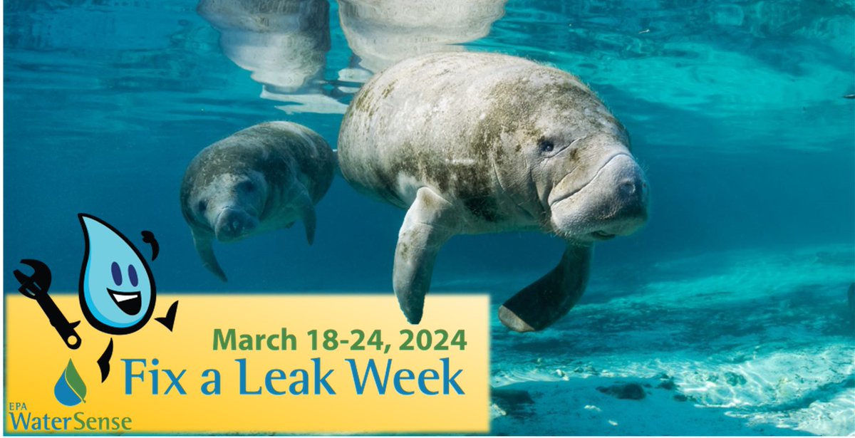 Citrus County Government (@citrusbocc) on Twitter photo Hello from Citrus County, Florida...where Nature and Community Thrive!
<a href="/citrusbocc/">Citrus County Government</a> is happy to join the #FixALeak Party Hello from Citrus County, Florida...where Nature and Community Thrive!
<a href="/citrusbocc/">Citrus County Government</a> is happy to join the #FixALeak Party