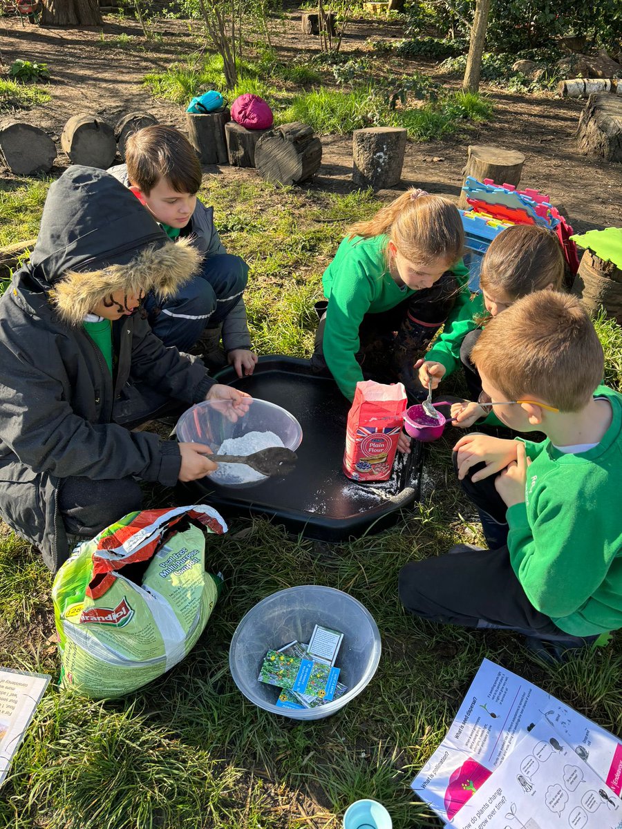 🌿 Today year 4 @HurstParkSchool delved into the world of pollination, pollinators, and biodiversity. 🐝 Our hands-on activity was to make our own seed bombs! 🌱 Fun was had by all as we learned and played amidst the beauty of the outdoors. #ForestSchool #NatureLearning 🌳