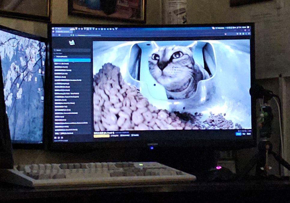 Enderman tweet media