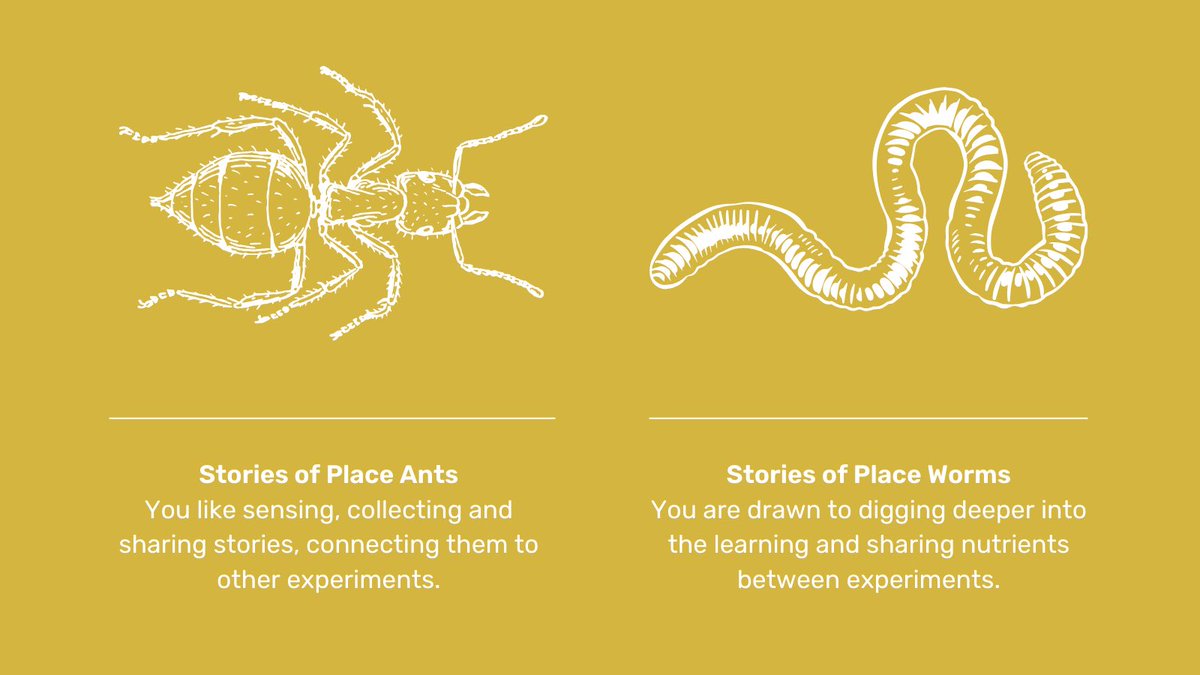 You are welcome to join us for April’s Stories of Place session, in person or online, 6-8pm Wednesday 3rd. There are lots of ways you can join in 🦋🐝🐜🪱