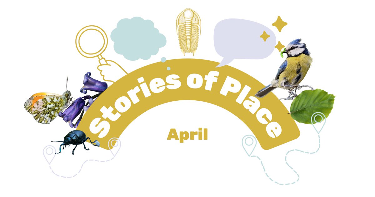 Dudley Creates tweet media