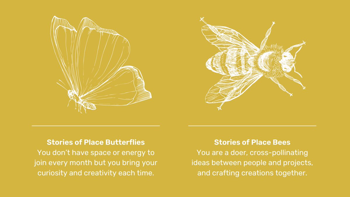 Dudley Creates tweet media
