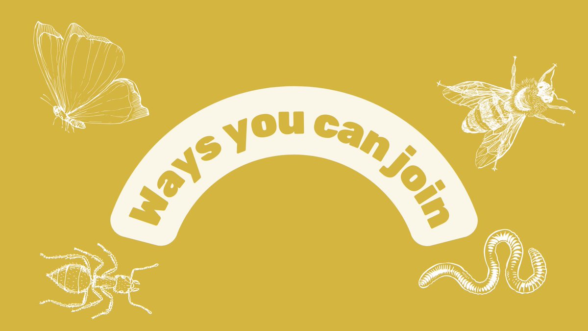 Dudley Creates tweet media