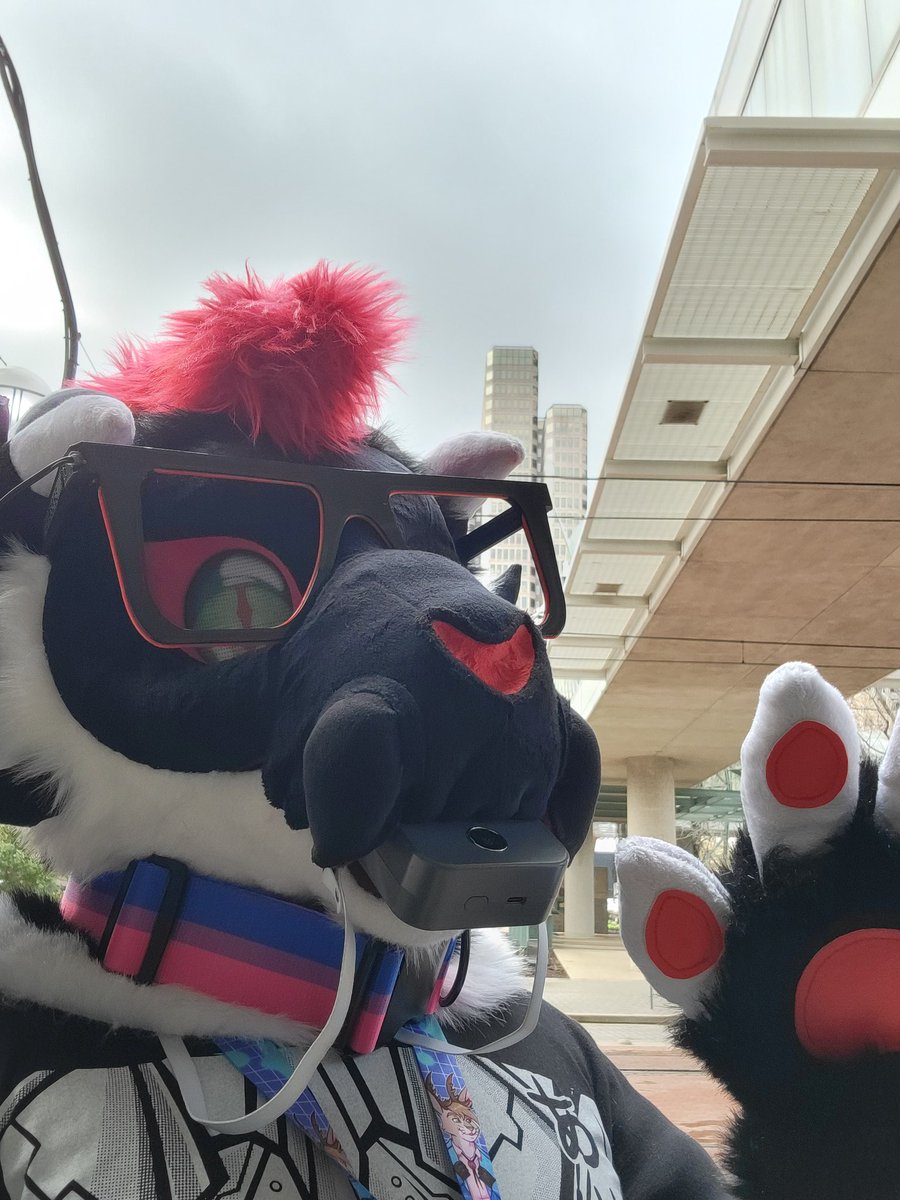 LegoTheDraolf's tweet photo. Texas Furry Fiesta was a blast! #TFF2024 https://t.co/KokoqC2r72
