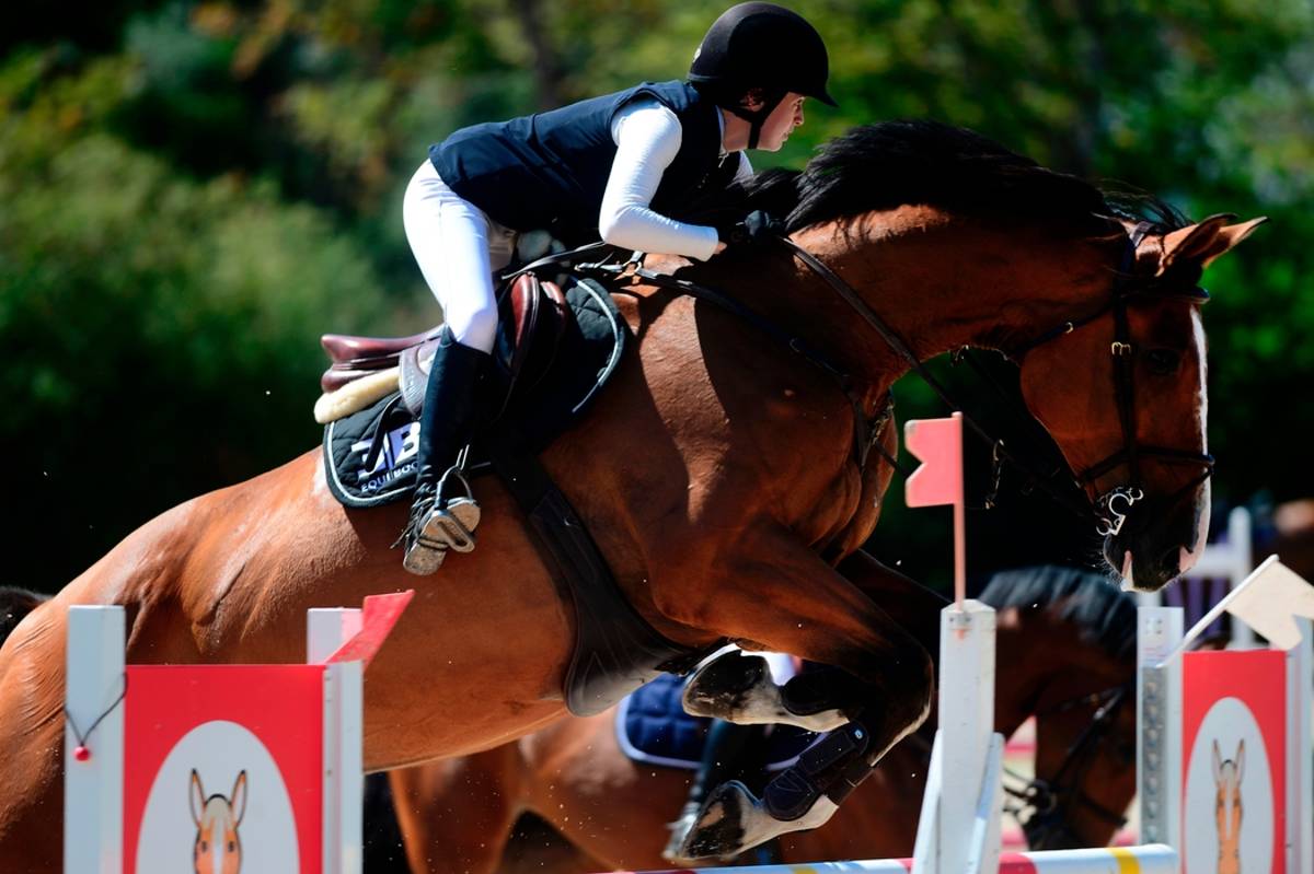 Une compétition d'équitation pour les personnes en situation de handicap et les valides va voir le jour dans le Morvan 
lejdc.fr/chateau-chinon…