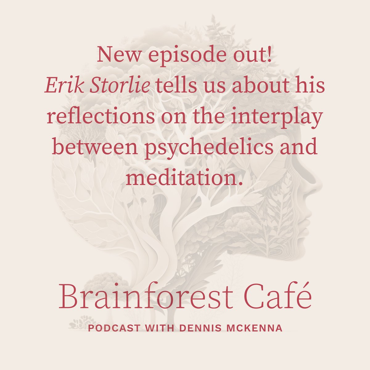 Join me for the latest episode of Brainforest Café where I speak with Dr. Erik F. Storlie about his interest in Zen and the synergies between meditation and psychedelics. mckenna.academy/mka-podcast/fr…