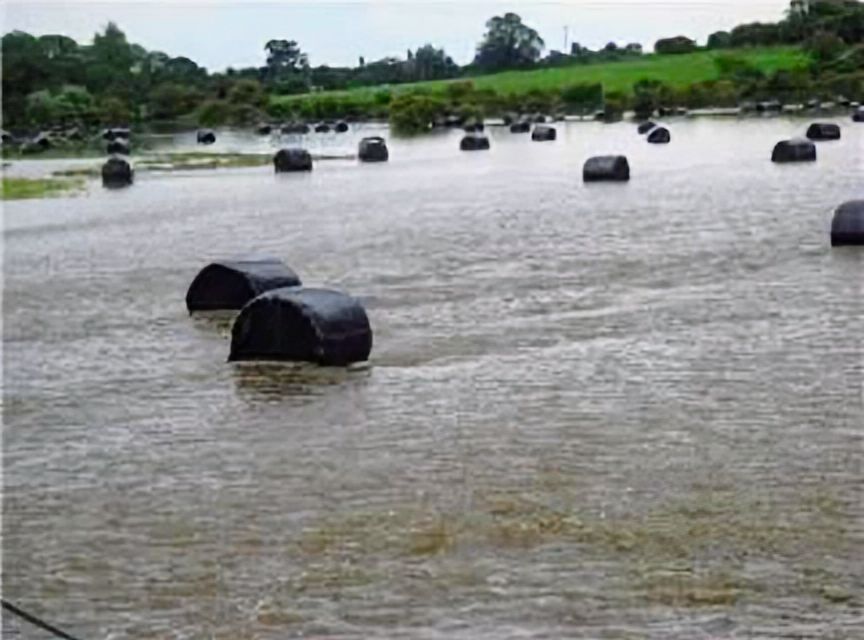 #rurallivesmatter #saveourcountryside #NoWarehouses #stopbuildingonfloodplains #BiodiversityMatters 
buff.ly/3ONfs2I