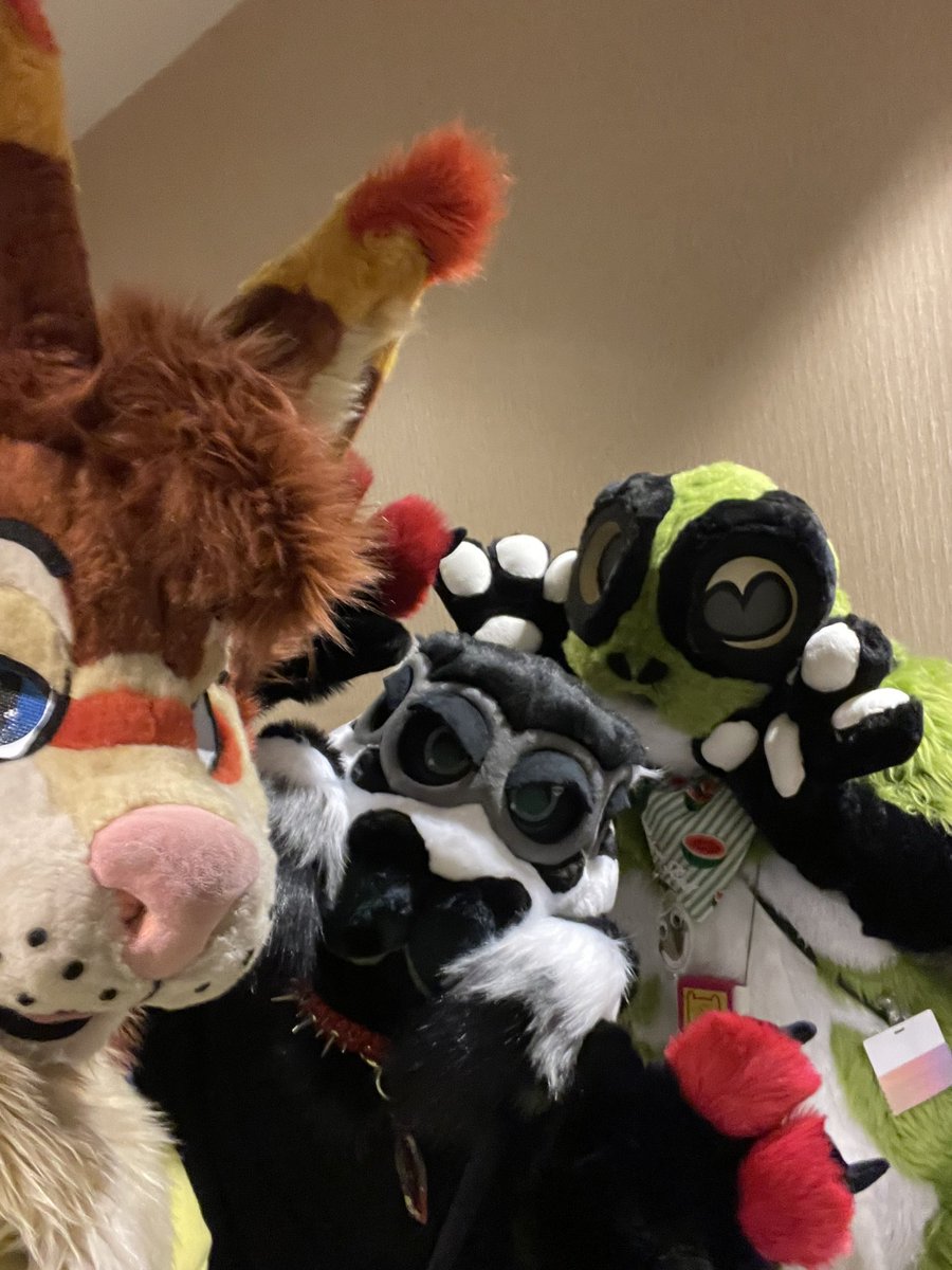 Cedar_Lynx's tweet photo. So many cool suits at TFF!! I wish I got more pics 😭😭 I forgot to ask so many of yall I hungout with https://t.co/6gYOi3qvow