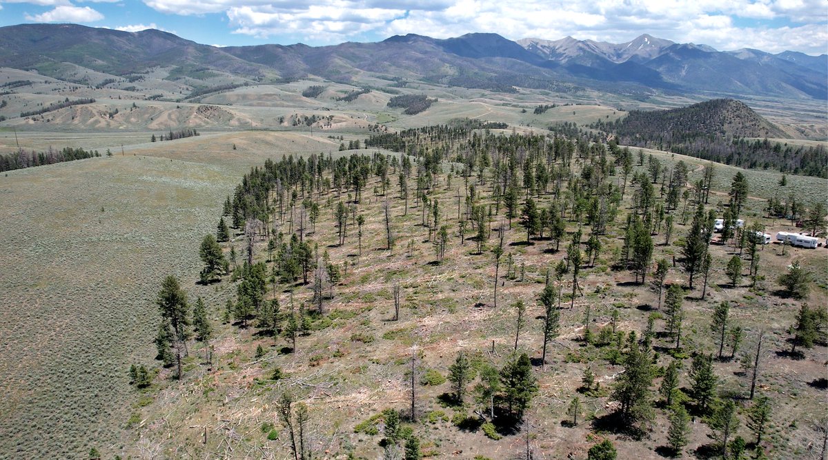CSFS_Outreach's tweet photo. The federal #goodneighborauthority program enables #landscapescale forest management. For 20 yrs through GNA, the CSFS has treated thousands of forest acres alongside federal partners.  

Learn more about this influential program: https://t.co/jcx0HaRnED

📷Bulger/CSFS https://t.co/NagEKOVNhK