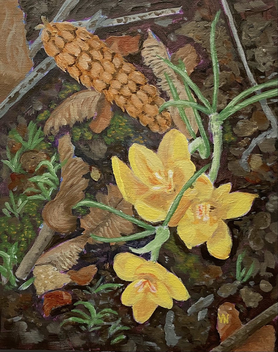 vnesdoly's tweet photo. In celebration of spring - "Woodland Treasure"
Acrylic on canvas panel, 10 x 8 inches.
https://t.co/jkIAJgNnG4 https://t.co/KWeag25ET9