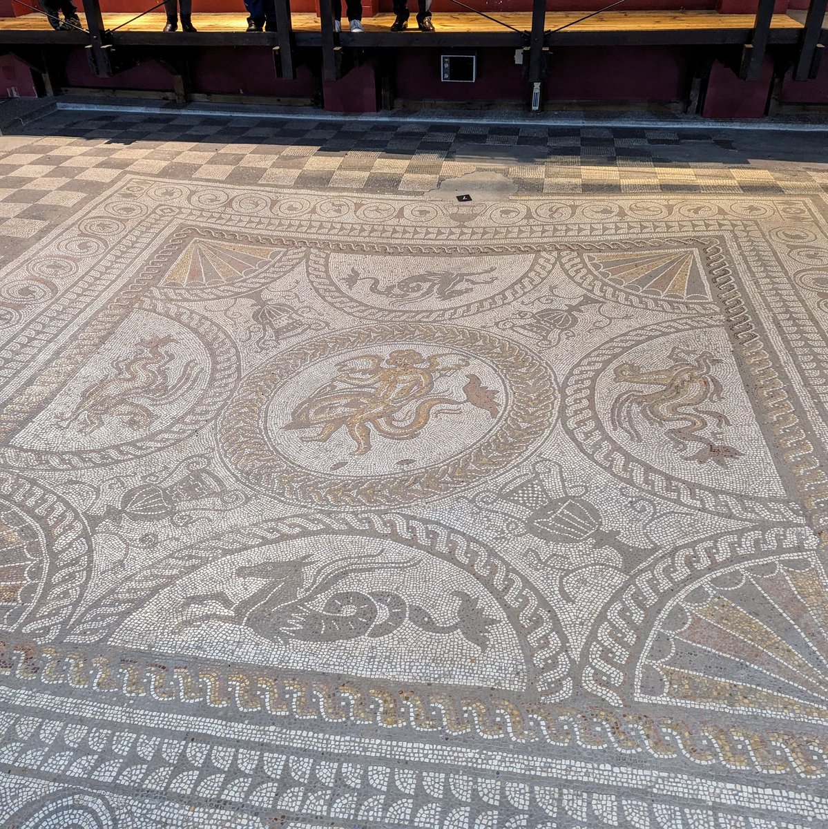 Enjoyed sampling for @Commiosproject at the Fishbourne Collections Discovery Centre @romanpalace @TheNovium today! And this time I had time to look around the palace once I was finished. Absolutely stunning mosaic floors 🤩