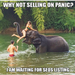 Photo by Elephant on surf (@eos_meme)