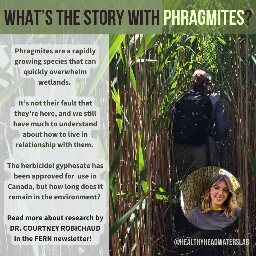 The Healthy Headwaters Lab tweet media