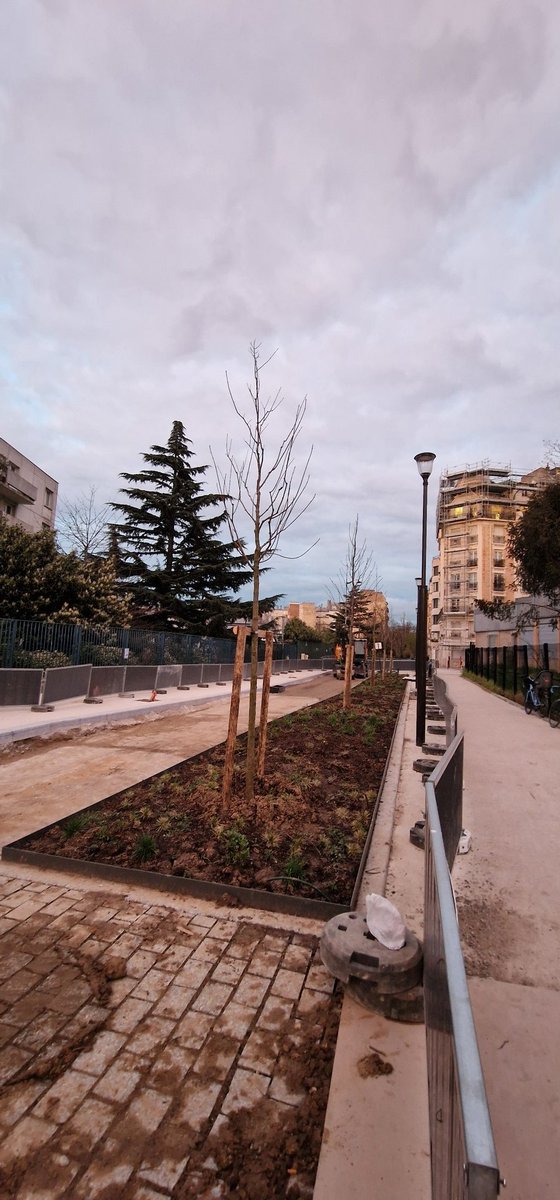 Le Paris d'Anne Hidalgo se poursuit. Toujours plus d'arbres et un beau pied-de-nez à la gestion polluante des arrondissements du groupe @GpeChangerParis. Bye bye les voitures, on ne vous a jamais aimées. #Paris2024
#Paris #paristourism