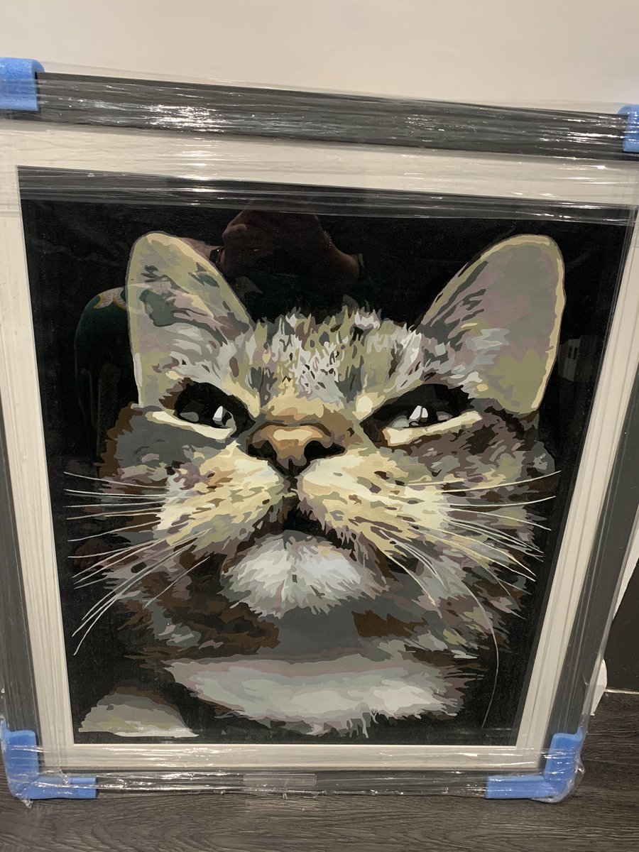 TexansToogie's tweet photo. It’s my birthday today and I’m 16 years old! To celebrate my hooman Nan painted this picture of me in my prime time 😸 Mummy gave me Tuna to celebrate too 💕 #CatsOfTwitter #catboy #birthdayboy #CatsAreFamily #CatsOfX https://t.co/vx0Ji1OH6n