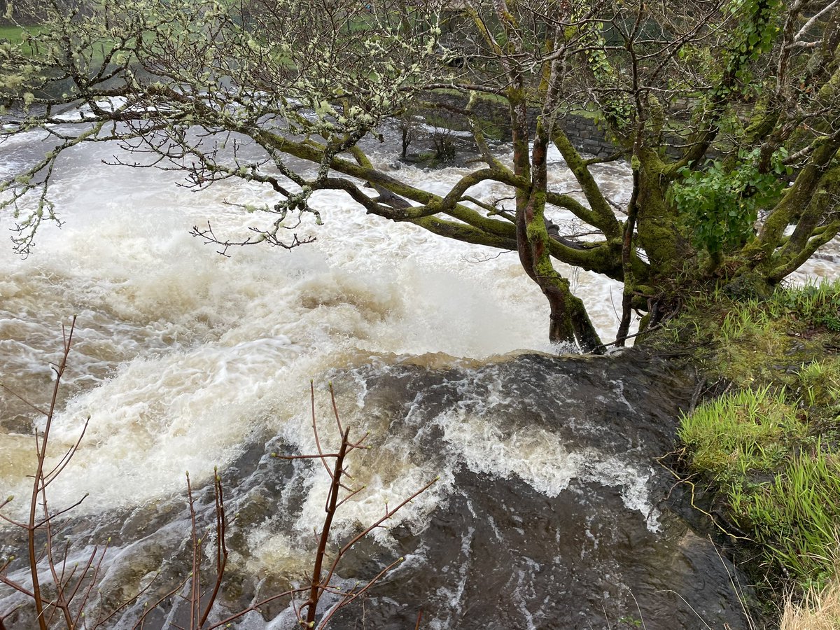 berjeffries's tweet photo. Day 78 #100daysofwalking the rain finally stopped; the river has been flowing through this bridge since 1789. It has an extra “eye” to take the overflow when the river floods. #connemara #100daysofwalking24 https://t.co/LnQZC1vceK