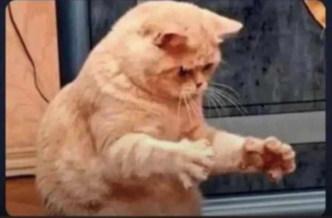 Elle : ne dis a personne qu’on a couché ensemble 
Moi :