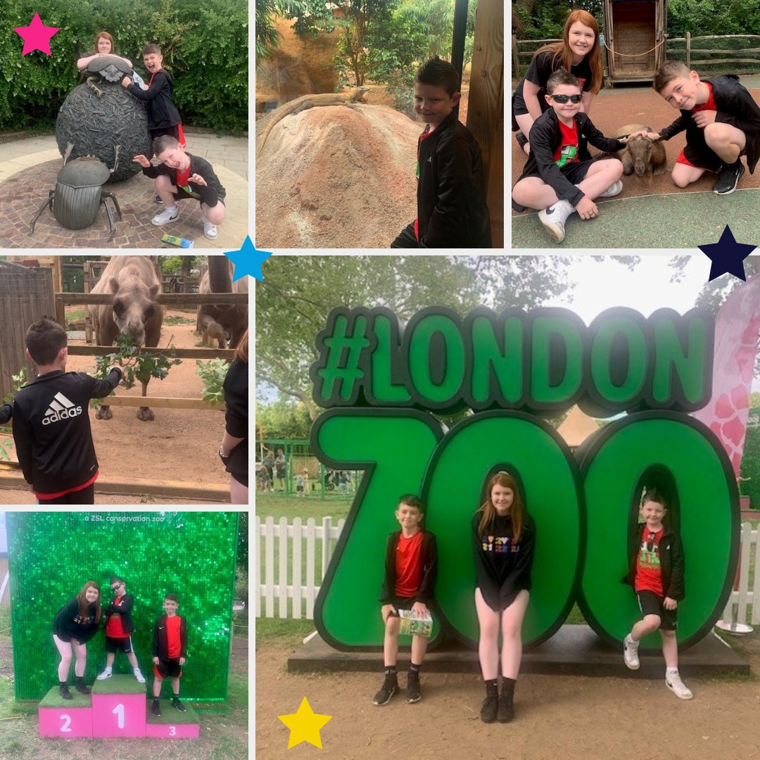Making a difference 🐧🦥

Jack’s dream is to become a zookeeper. Thank you @londonzoo for going above and beyond to make this trip for the family so special 

#londonzoo #zookeeper #makingadifference #london #alfieswish #alfieswishdaysout #ukcharity #childrenwithcancer
