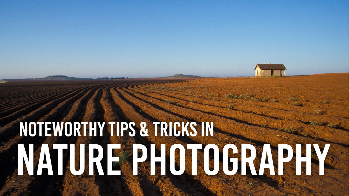 STARTING SOON: Photography, and the mastery of it, is subject to variables. Join Russell Graves as he talks about backbutton focus, exposure mode and other debatables in his approach to nature photography.

Today @ 3pm | bhpho.to/3TvnoHA