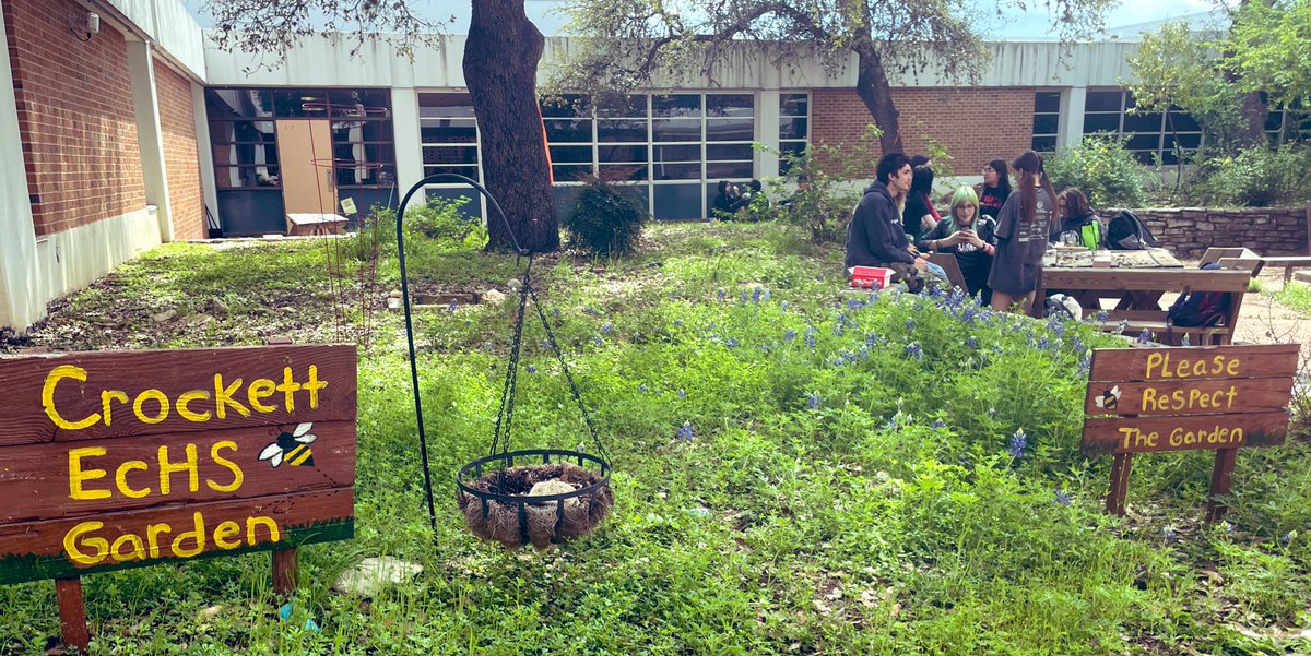 Happy Spring from the Crockett Garden, where the bluebonnets have arrived!