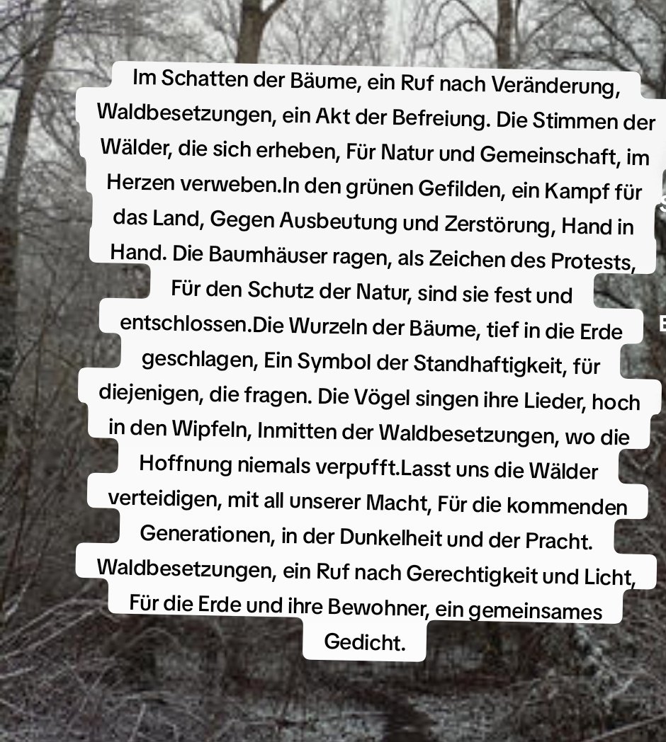 Solidarität mit allen Wald/Wasserbesetzer*innen /Menschen  vielen Dank für euren wundervollen Einsatz 🖤❤️
#DisruptNow #Waldbesetzung #GigaBerlin
@teslastoppen #TeslaStoppen