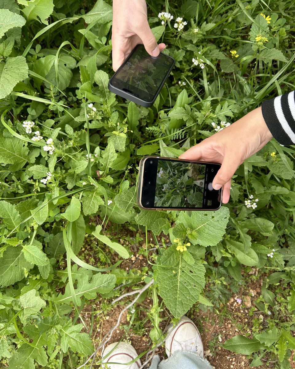 zayna (@rumonsol) on Twitter photo 