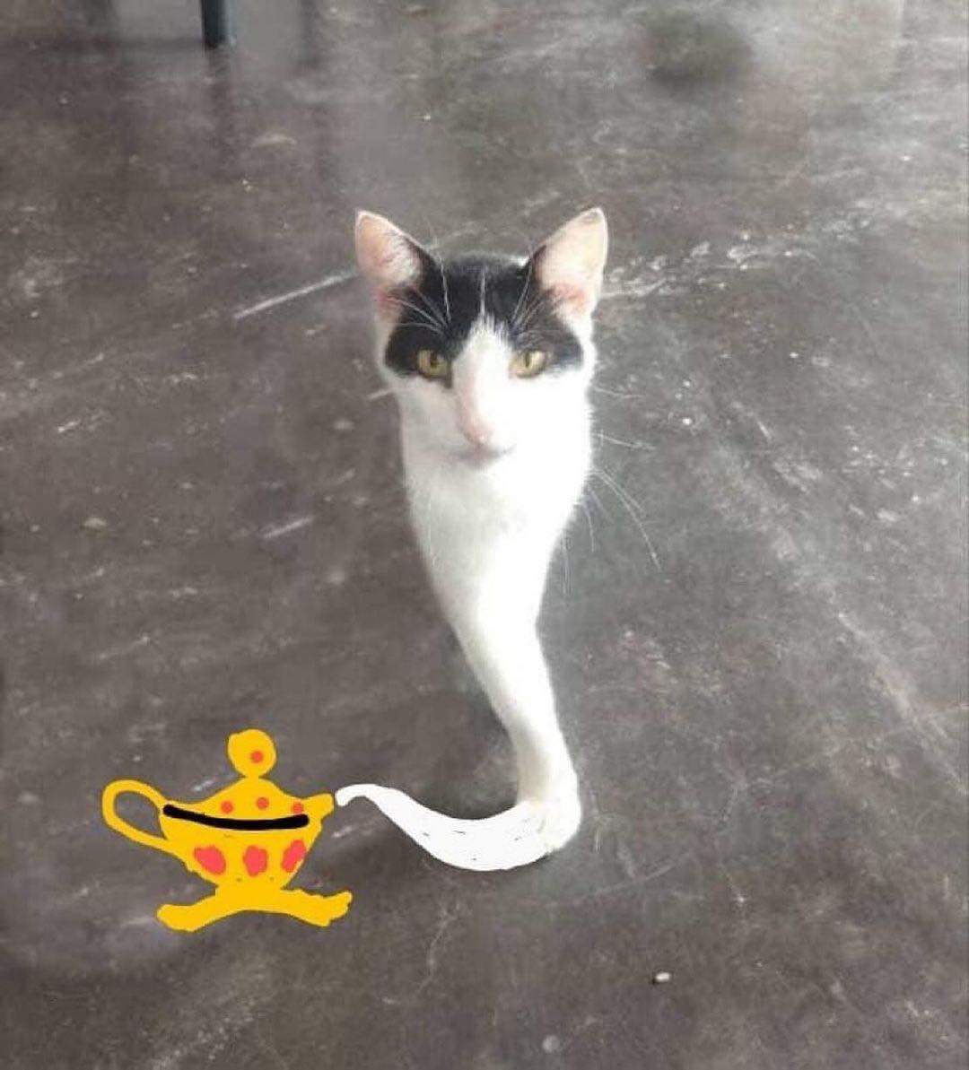 PunchingCat's tweet photo. https://t.co/WiTmXy6X35