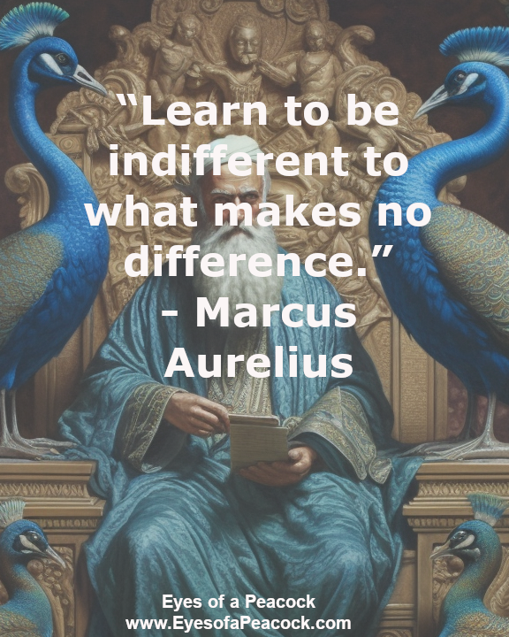Focus your energy on what truly matters to you and avoid wasting resources on insignificant issues.

#MondayMotivation #MotivationalQuotes #BeHappy #LiveYourOwnLife #lifestyle #InspirationalQuotes #stoicism #indifference #quotes